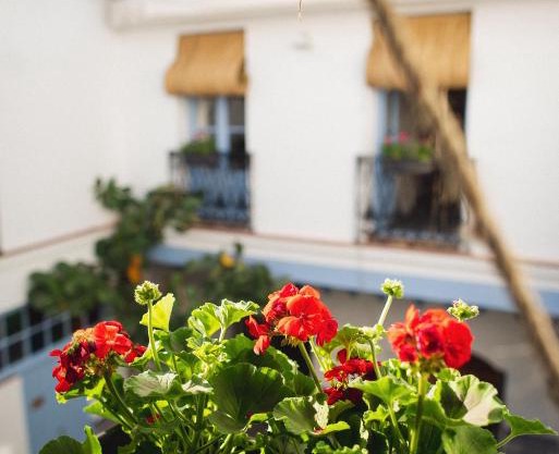 CASA SIRFANTAS