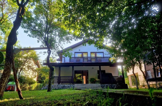 Casa Vlazilor