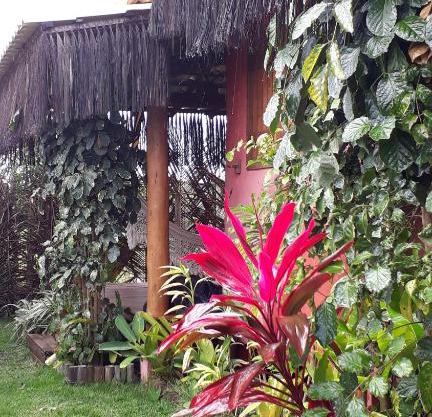 Casas Belas de Taipu