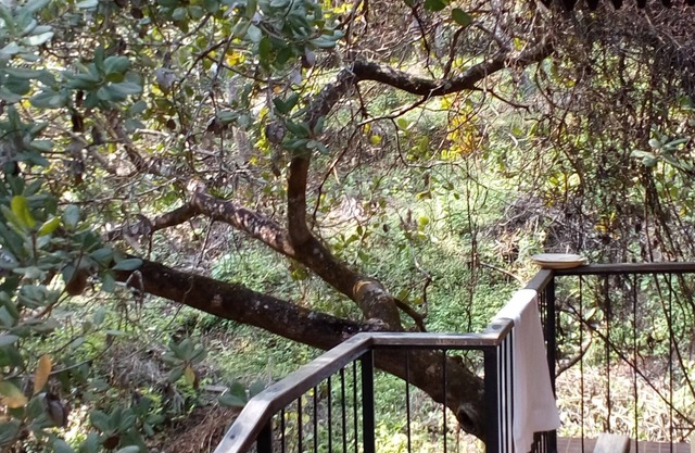 Castle House Palolem