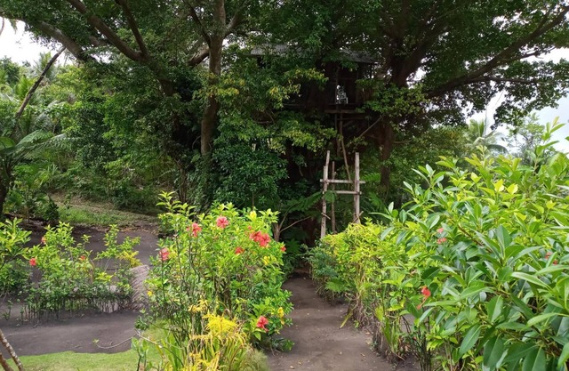 Castle Tree House