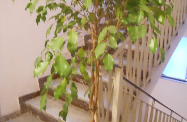 Catania Crossing B&B Rooms and Comforts