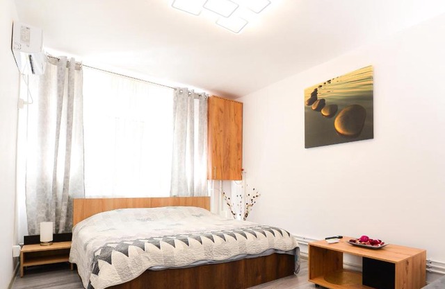 Central Grey Studio Hateg