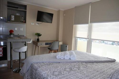 Centro Osorno Express