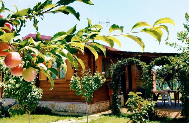 Chalet dei Melograni - Sea, mountains, relaxation, privacy, at your fingertips.