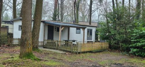 Chalet Hoenderloo Beuk