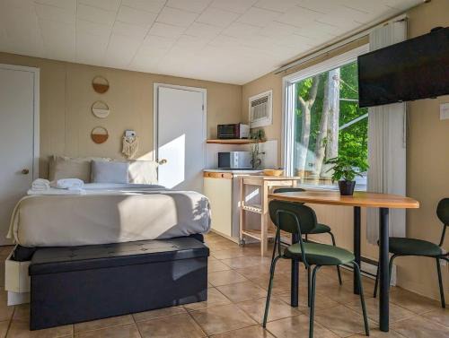 Chalet Loft #12 River View with Wifi, AC & BBQ