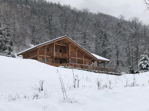 Chalet savoyard d'exception avec piscine chauffée