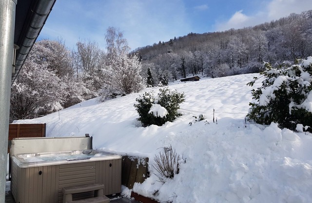 Chalet swimming pool spa sauna ski station Hohneck-Ventron-La Bresse-Gerardmer-Lispach