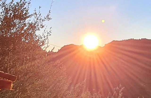 Chambres d'hôtes des Oliviers