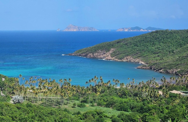 Charming, bright studio apt. with view of the Caribbean Sea, 1-2 guests
