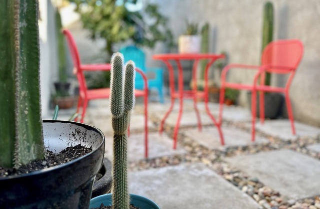 Charming 3BR Oasis, 5 min fr USA - AC in every RM