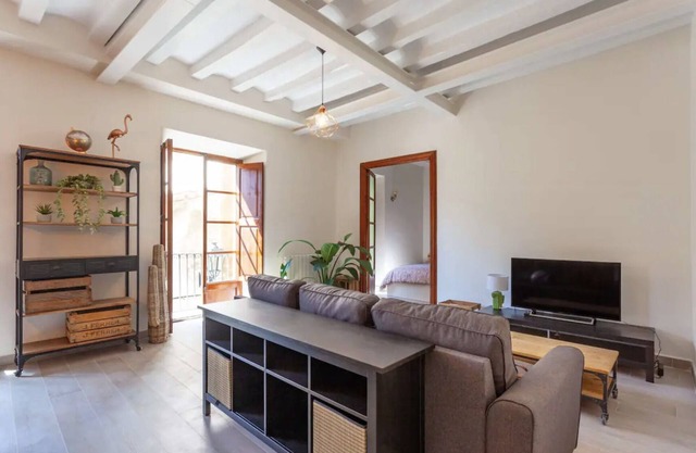 Charming apartment - Historic center