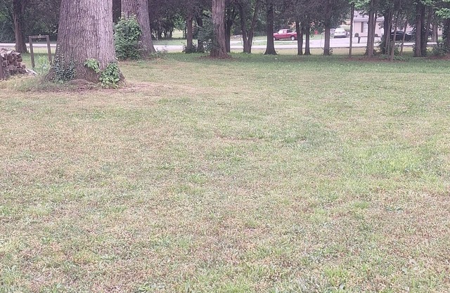 Charming Country yet close restaurants and entertainment nice 3-bedroom 2 bath