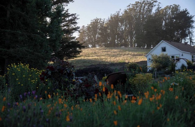Charming Farmhouse on Organic Cattle Ranch