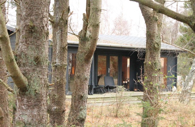 Charming forest cabin near Gedser