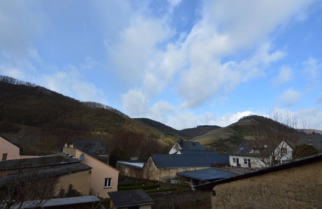 Charming Holiday Home in Neumagen-Dhron