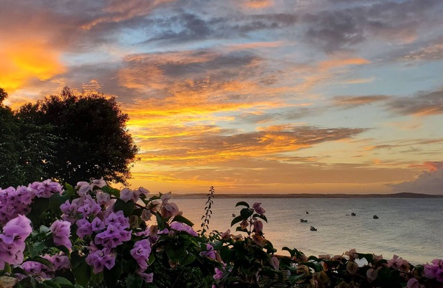 Charming house in Baía Formosa facing the sea