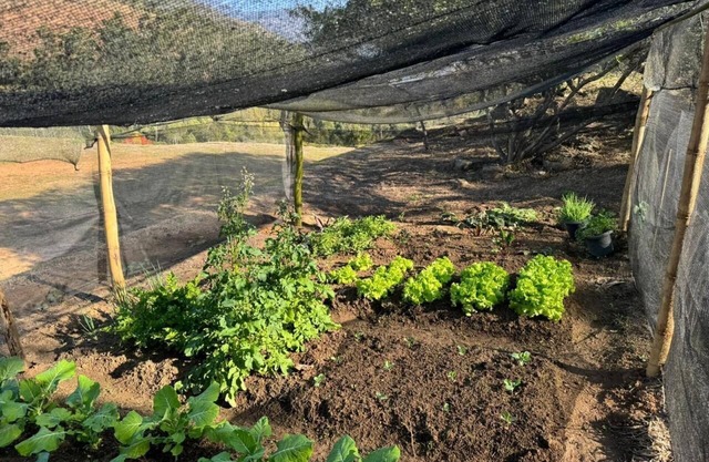 Charming Loft in Secretário/Itaipava