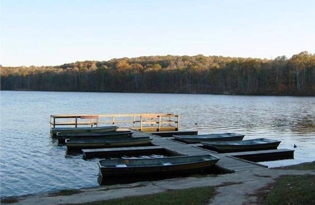 Charming New 1-bedroom apartment 15 minutes from downtown Atlanta