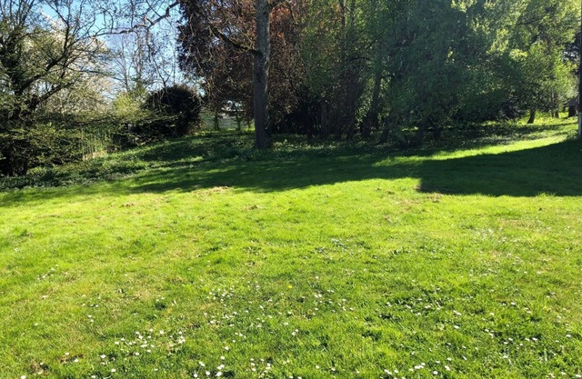 Charming rental with 1 ha park and woods