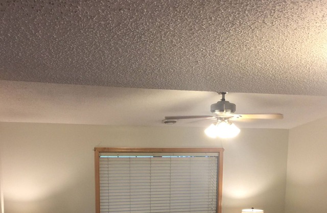 Chaska Executive Condo