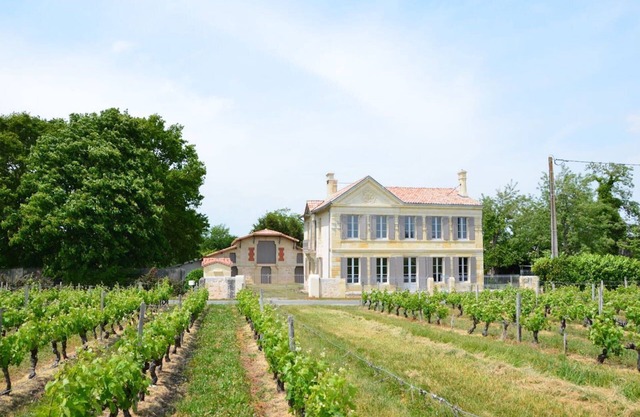 Château La Tour Blanche, surrounded by vineyards and 25 minutes from the beaches