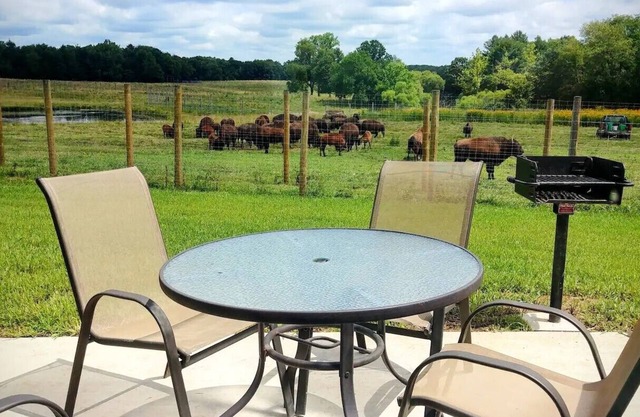 Cirone Legacy Cabin 4