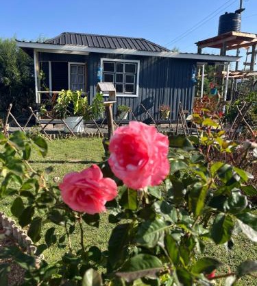 Citronella Mountain Cottage Nanyuki