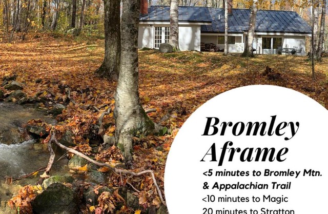 Classic VT Aframe - Minutes to Mountains