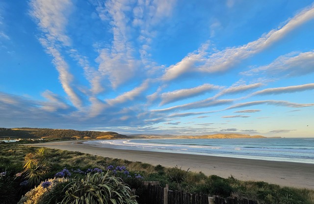 CLOUD9 Curio Bay, beachfront, Porpoise Bay.