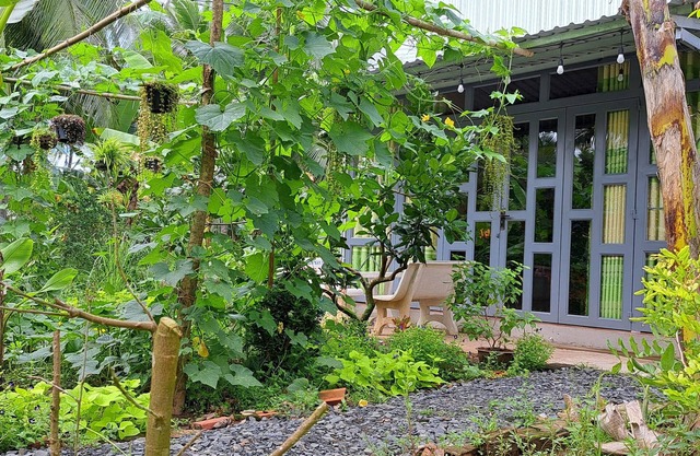 Coco Happy Farm