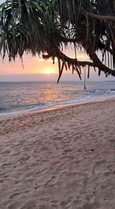 Coconut Tree hill Rekawa