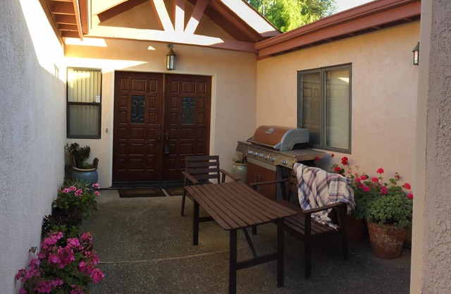 Comfort in Davis - for you and your pet !