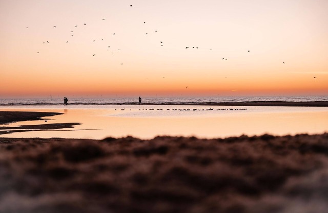 Comfortable hotel room with balcony near the beach