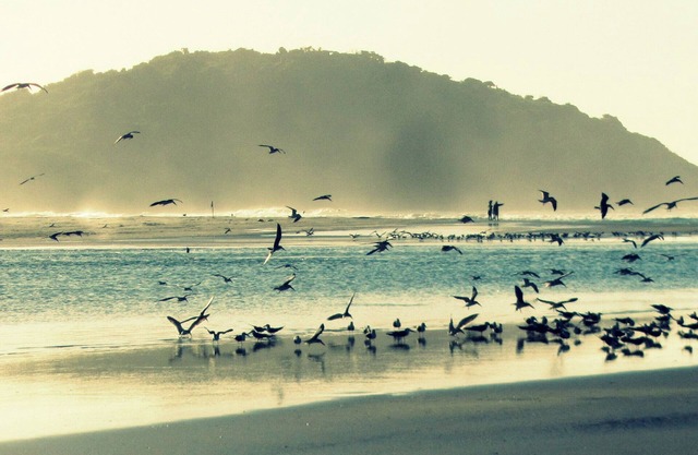 Comfortable house w /view to the sea w /wi-fi - Ibiraquera beach.