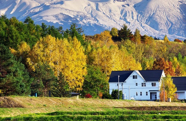 Comfortable just like your second home!