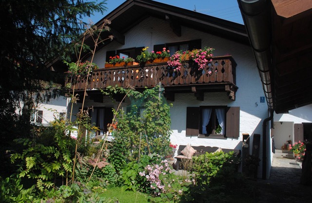 Comfortable large apartments, centrally located, surrounded by nature, friendly