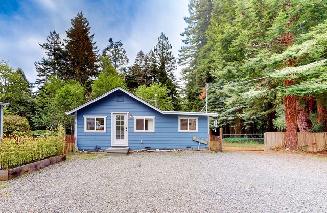 Comforting, dog-friendly cottage with yard, forest views, kitchen & washer/dryer