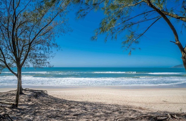 Complete Stay by the Sea, Just 10 Meters From the Beach - Aars