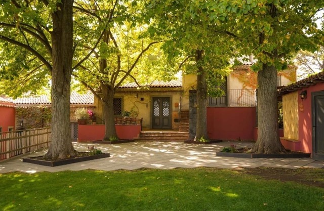 Contrada Willow - Linden trees