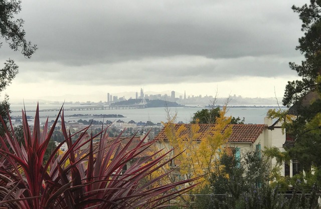 Convenient walk to UC, Haas, MSRI, Simons and Goldman School. Historic home.