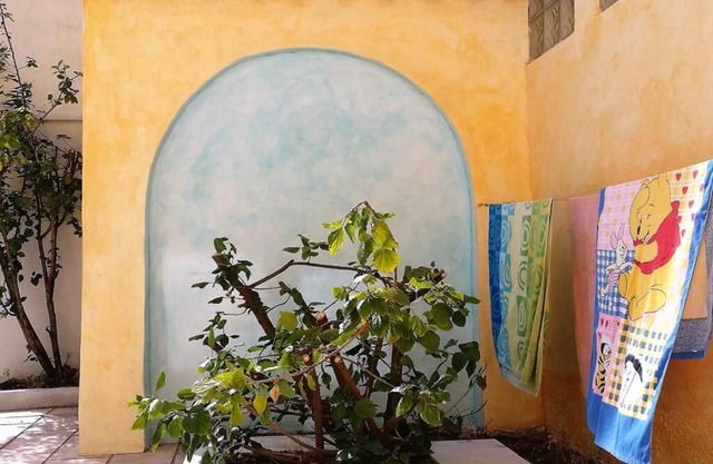 Corte Jasmin Primula