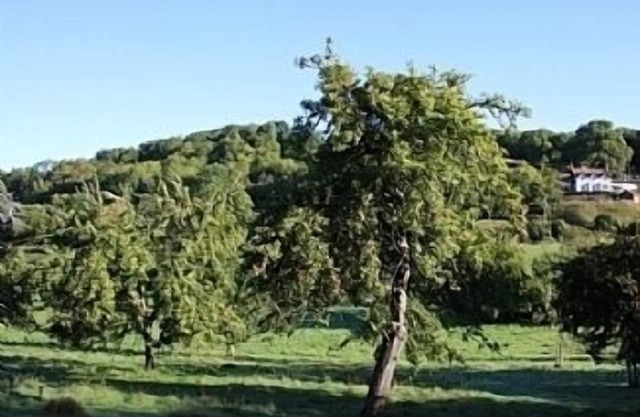 Cosy and Comfortable Cottage with the Best Views of the Wye Valley