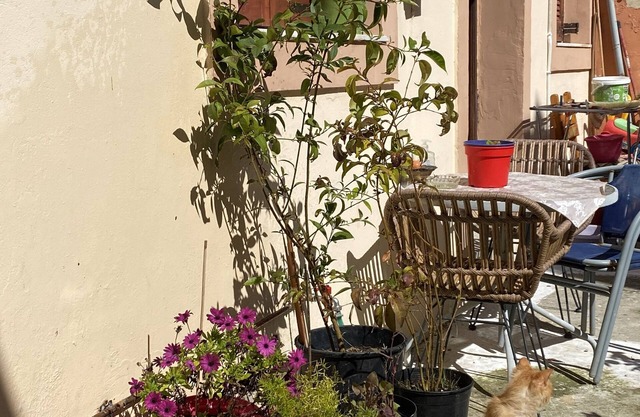 Cosy and Familiar Maisonette in Agious Deka, Corfu