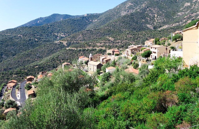 Cosy apartment for 3 people with A/C, WIFI, TV, patio, pets allowed and panoramic view