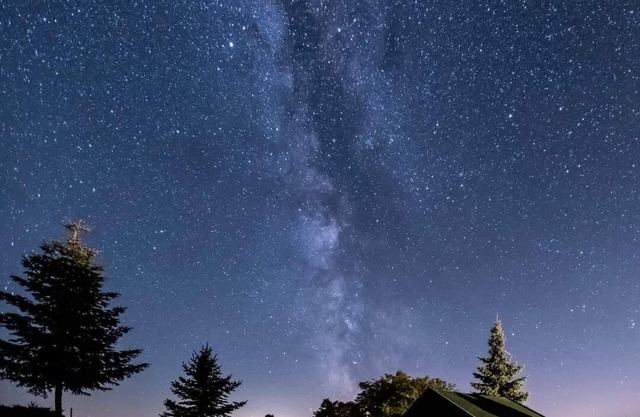 Cosy holiday home with barbecue