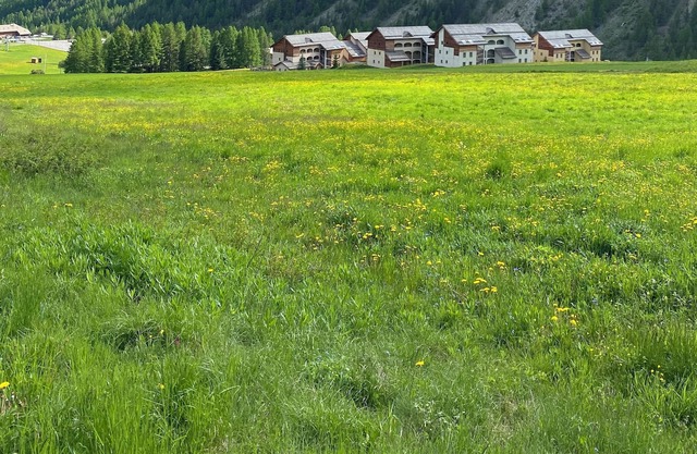 Cosy & Rénové Appt au Pied des Pistes / Départs Rando / 3 Ch.-6p