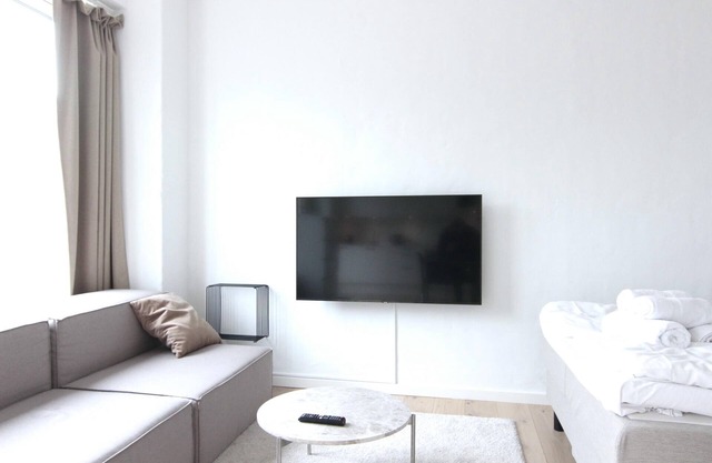 Cosy studio apartment in Nørrebro - 236