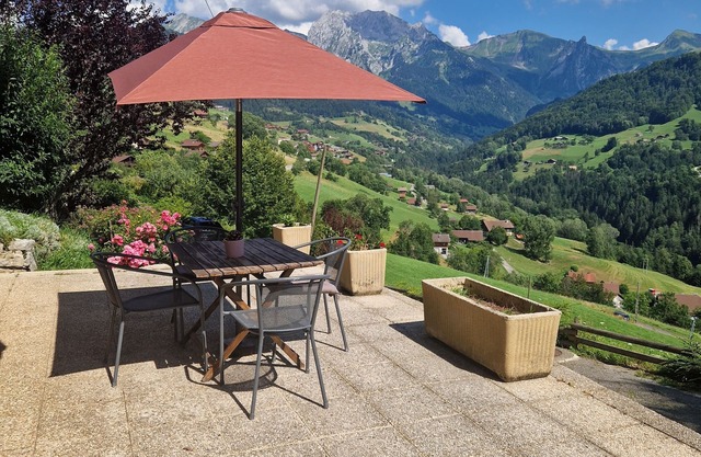 Cosy T1 with magical view of the Aravis mountains